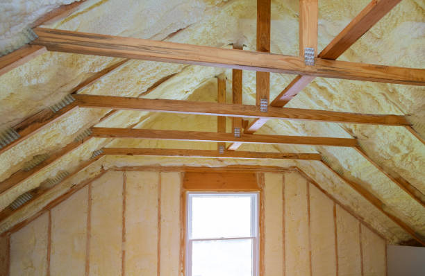 Best Specialized Insulation Services in Mendon, IL