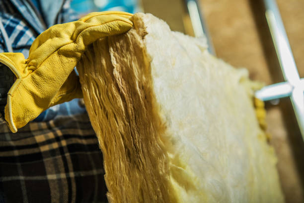 Best Blown-in Insulation in Mendon, IL
