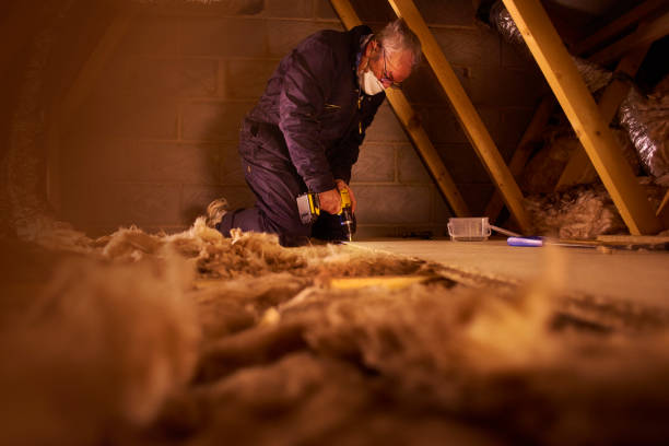 Best Commercial Insulation in Mendon, IL